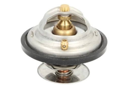 termostatas, aušinimo skystis THERMOTEC D2MA005TT