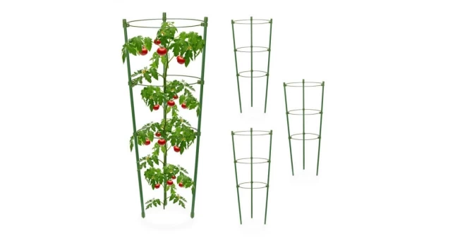 Augalo Atrama 45 Cm, 4 Vnt., Žalia