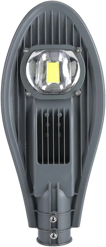 Gatvės LED prožektorius-šviestuvas, 30 W, IP65