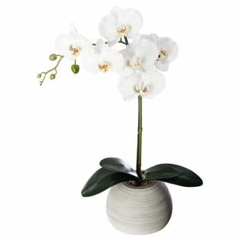 Dirbtinė orchidėja keramikiniame vazone, 50 cm