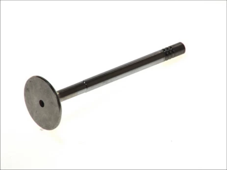 FRECCIA 4919/BMCR Inlet valve