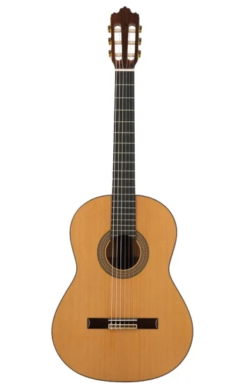 No Name Prodipe Guitars Soloist 900 4/4 - gitara klasyczna
