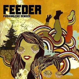 CD Feeder - Pushing The Senses