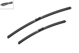 Valytuvai BOSCH 3397007586