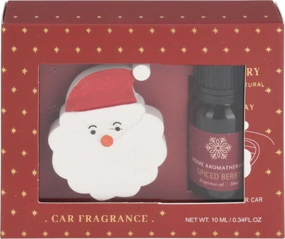 Automobilio oro gaiviklis Home Aromatherapy, 2 vnt.