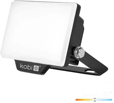 10W LED prožektorius DELYO MHN, juodas, 4000K, IP65
