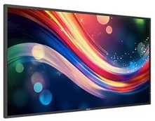 Monitorius Philips 43BDL4050Q