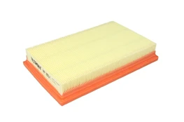 Oro filtras FILTRON AP110/1 kaina