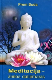 Meditacija - sielos dalijimasis kaina