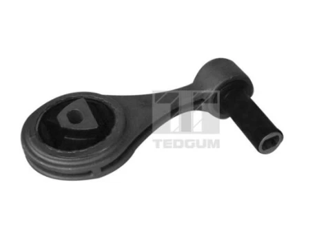 Variklio montavimas TEDGUM 00219575