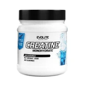 EvoLite Creatine Monohydrate (beskonis) 300 g. kaina
