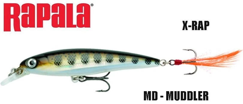 Rapala vobleris X-Rap MD 8 cm