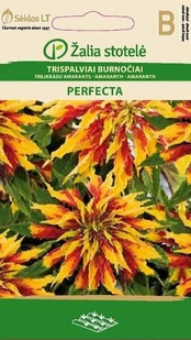 Trispalviai burnočiai Perfecta