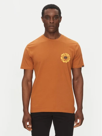 Quiksilver Marškinėliai EQYZT08036 Ruda Regular Fit