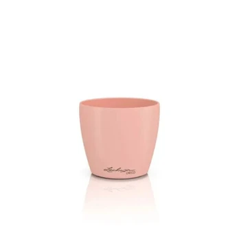 DECO 10, magnolia