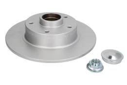 Stabdžių diskas DELPHI BG9230RSC kaina