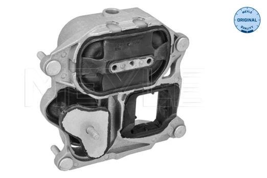 montavimas, automatinė transmisija MEYLE 100 399 2102