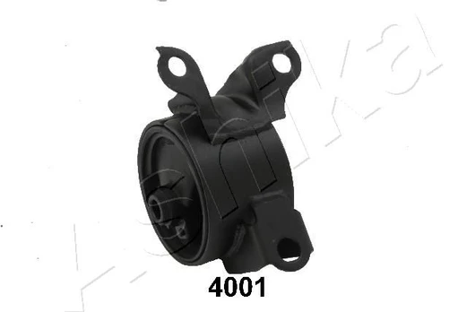 Variklio montavimas ASHIKA GOM-4001