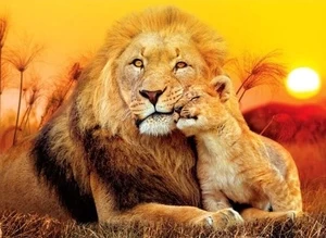 Dėlionė Clementoni Unexpected Hug 29785, 33.5 cm x 48.5 cm