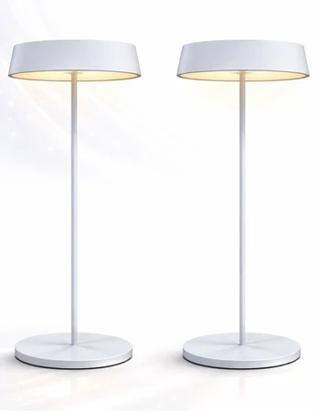 Palmina 901 LED stalinė lempa, 2 vnt.
