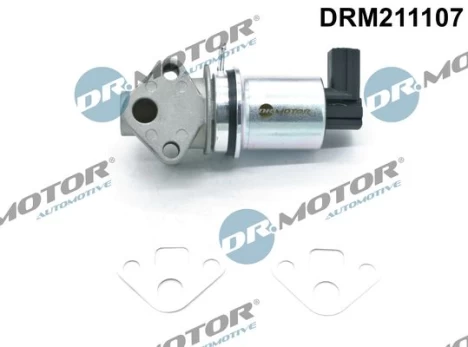 ERG vožtuvas Dr.Motor Automotive DRM211107