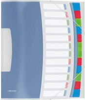 Esselte VIIVDA 6 segtuvas Verslai (624029)