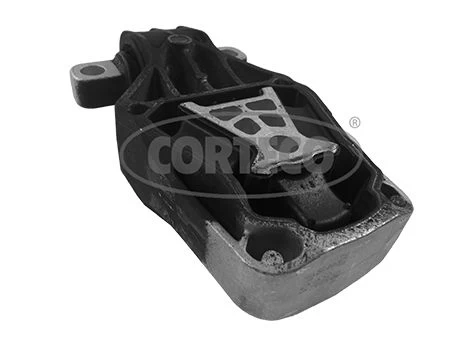 Variklio montavimas CORTECO 49402575