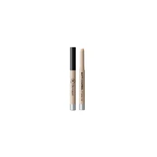Dermacol Matt Control - Cover Matte concealer and 1.1 g kaina
