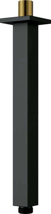 Deante Ceiling dušo snapelis - 250 mm