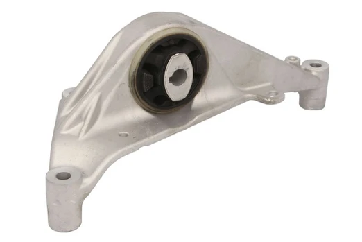 Variklio montavimas TEDGUM TED33938