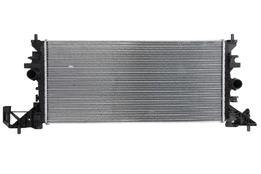 Variklio radiatorius DENSO DRM20118 kaina