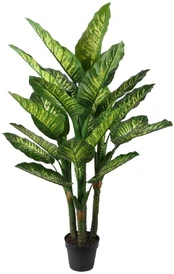Dirbtinis augalas VĖJAS DIEFFENBACHIA H150cm kaina