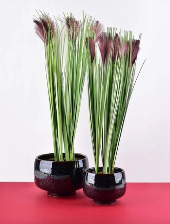 Mondex Dirbtinė gėlė 12,5xh64cm violetinės gėlės