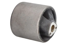 TED-GUM TED12642 Transmission mount kaina