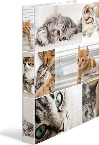 HERMA Ringbuch A4 Katzen 2D