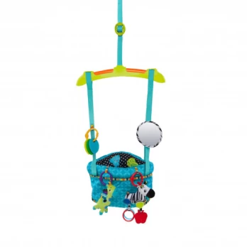 Sūpynės-šokliukas Bright Starts Bounce & Spring Deluxe 10410