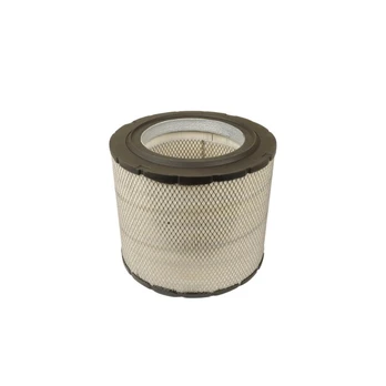 Oro filtro elementas AF25700