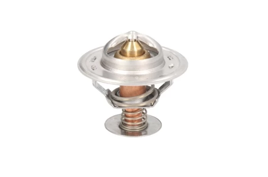 termostatas, aušinimo skystis THERMOTEC D2CA003TT