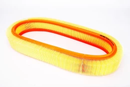 Oro filtras FILTRON AR036/1 kaina