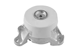 Variklio montavimas TEDGUM TED49389