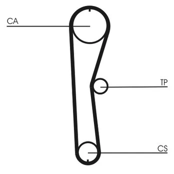 CONTI CT 824 Timing belt