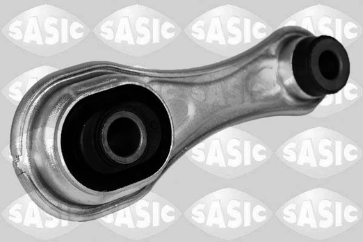 Variklio montavimas SASIC 2704132