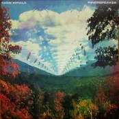 Vinyl (LP) Tame Impala - Innerspeaker