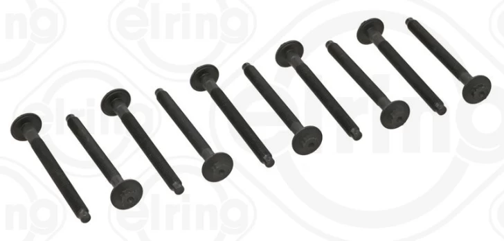ELRING EL481900 Cylinder head bolt set