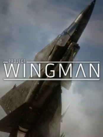 Project Wingman PC