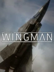 Project Wingman PC kaina