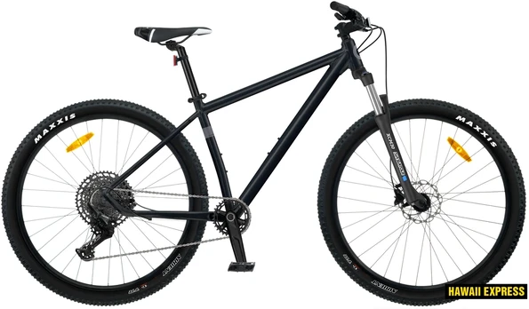 Dviratis 29 CLASSIC X12 12s 29 classic