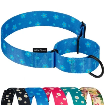 CollarDirect Martingale šunų antkaklis 30-43 cm