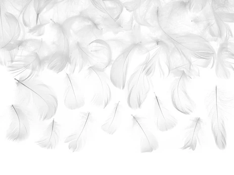 Dekoratyvinės plunksnos, baltos, 5-8 cm, 3 g