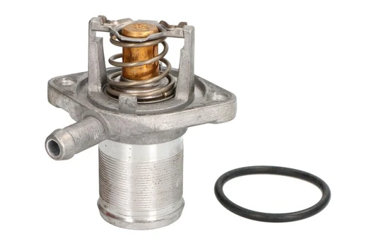 Aušinimo skysčio termostatas MOTORAD 393-89K